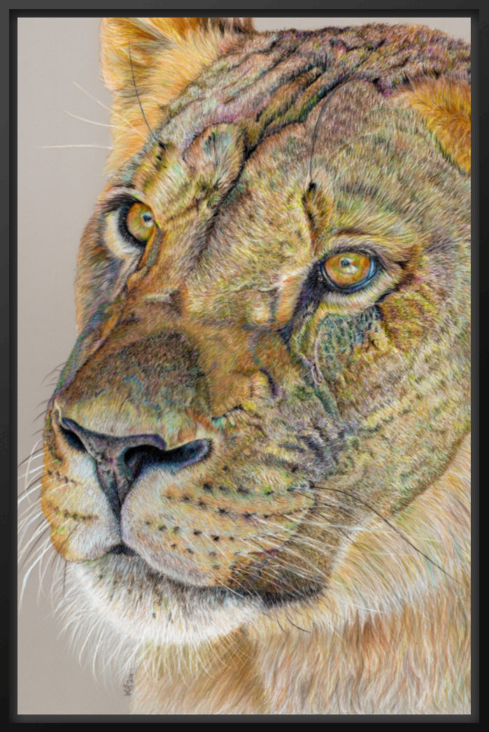 "Story Lines" Canvas Print