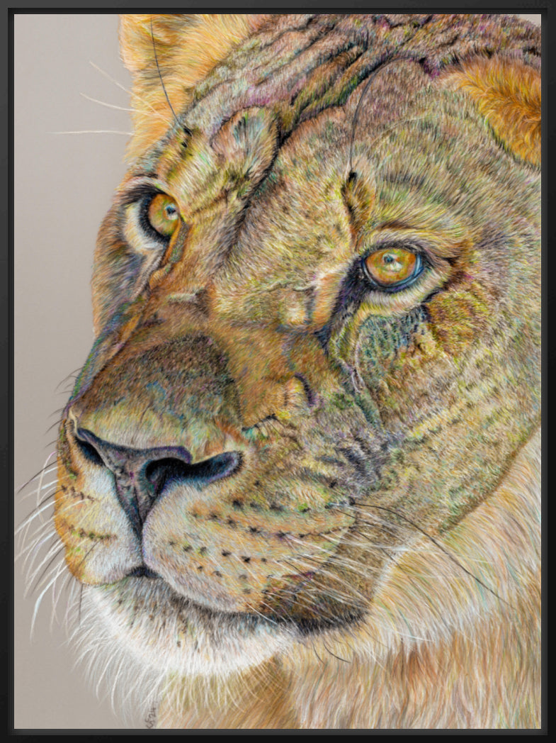 "Story Lines" Canvas Print