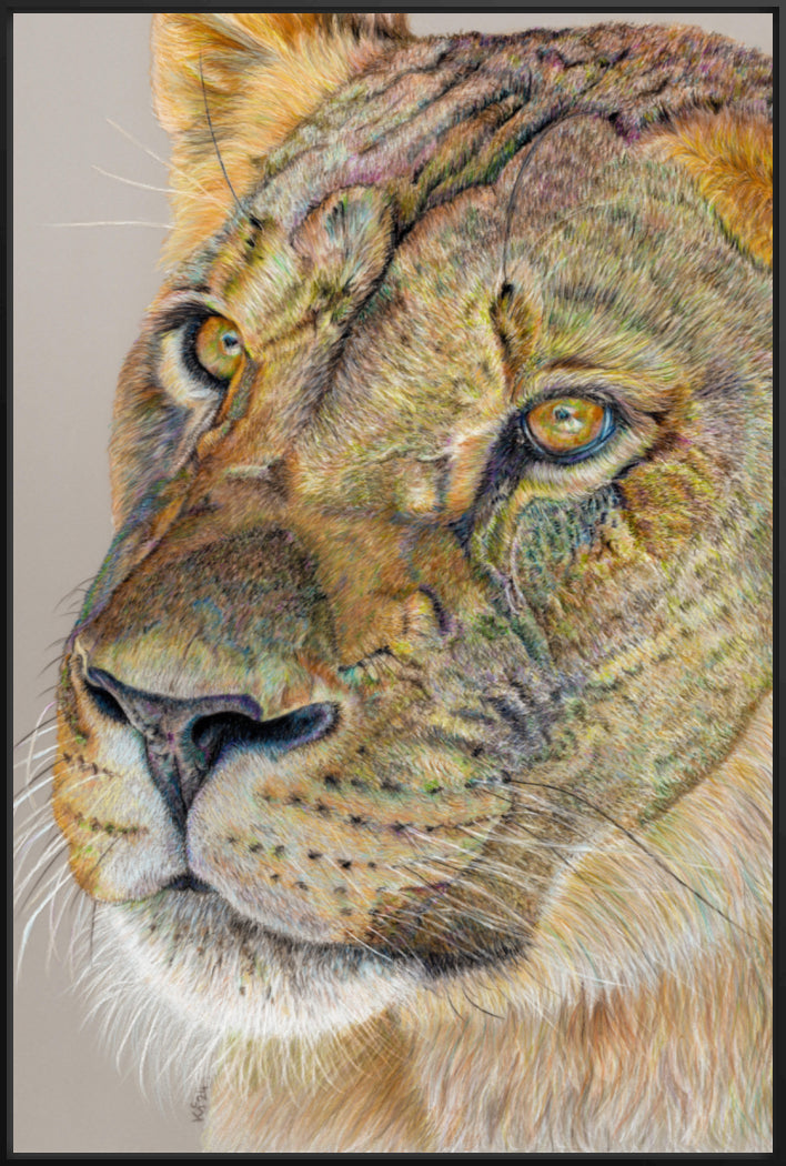 "Story Lines" Canvas Print