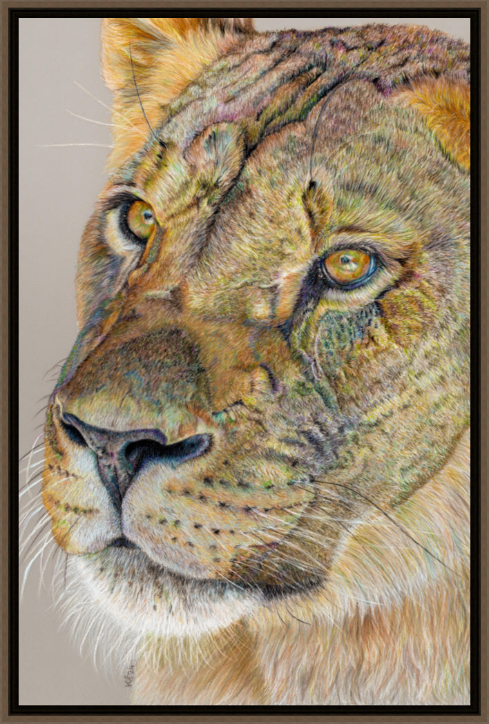 "Story Lines" Canvas Print