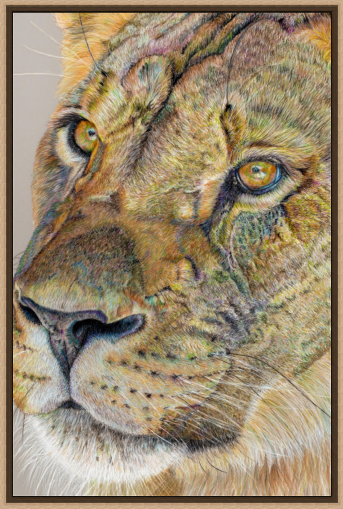 "Story Lines" Canvas Print