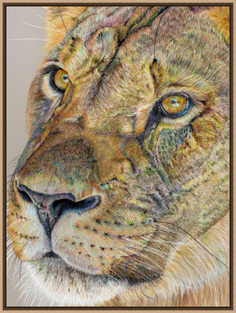 "Story Lines" Canvas Print