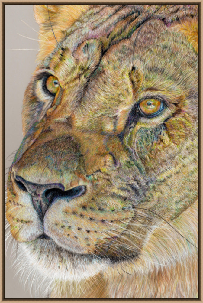 "Story Lines" Canvas Print