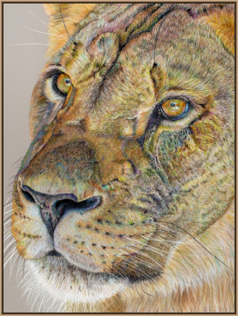 "Story Lines" Canvas Print