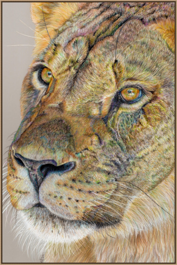 "Story Lines" Canvas Print