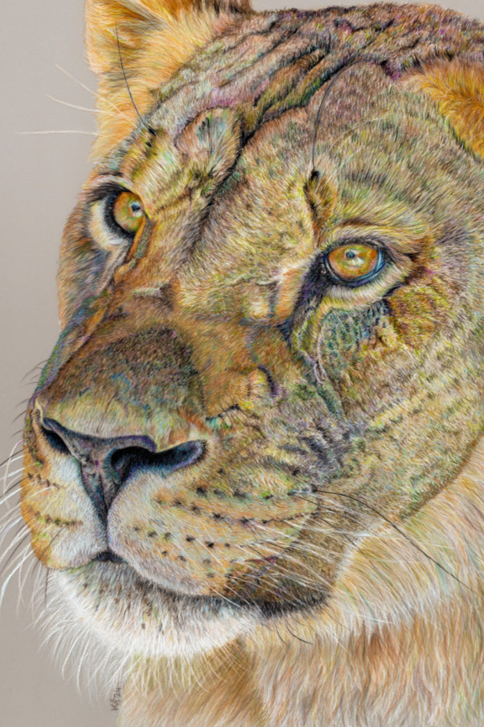 "Story Lines" Canvas Print