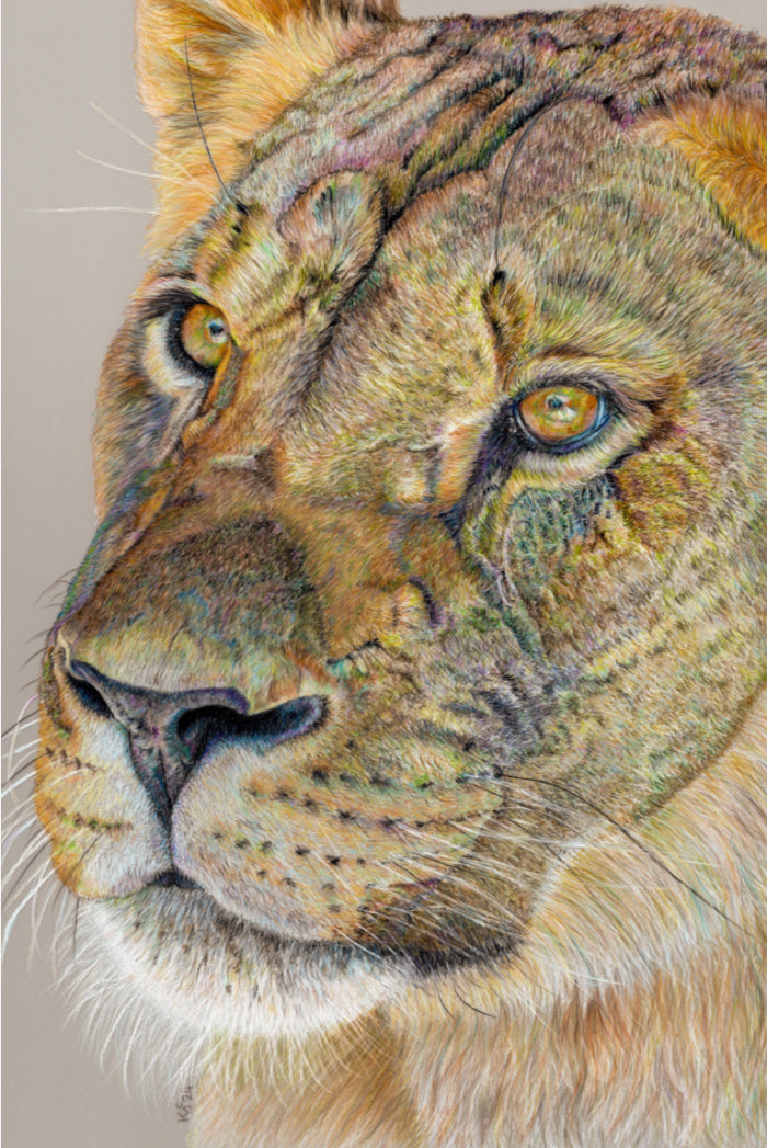 "Story Lines" Canvas Print