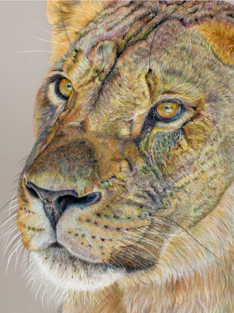 "Story Lines" Canvas Print