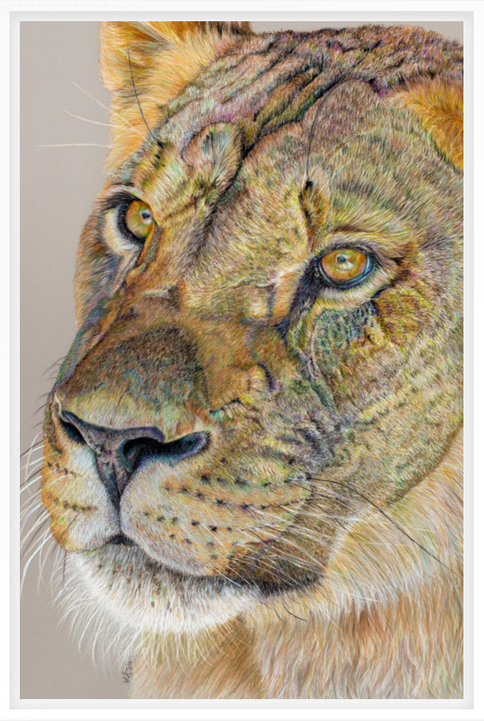 "Story Lines" Canvas Print