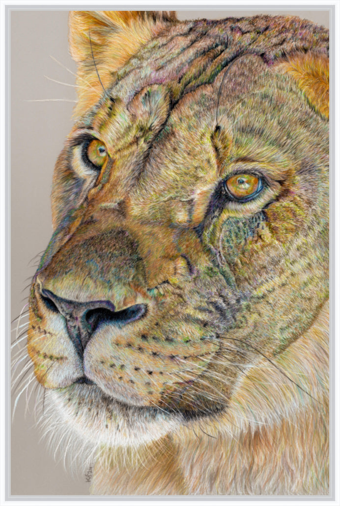 "Story Lines" Canvas Print