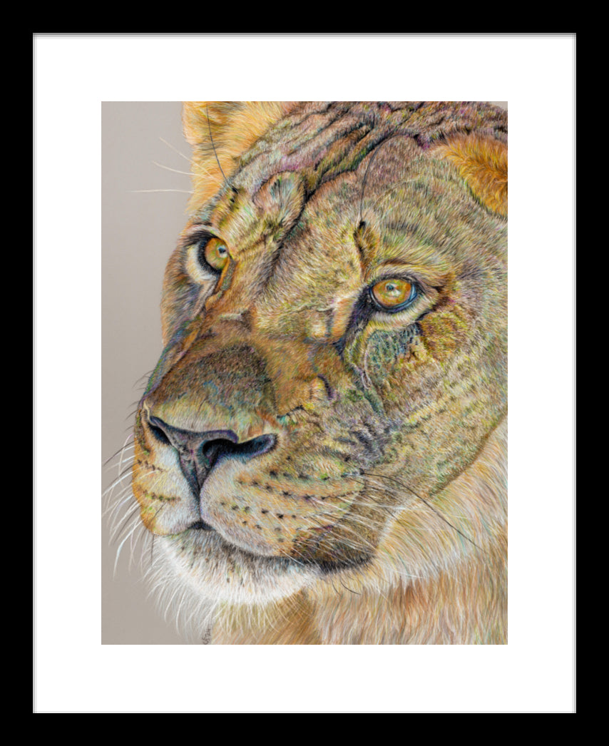 "Story Lines" Framed Fine Art Print