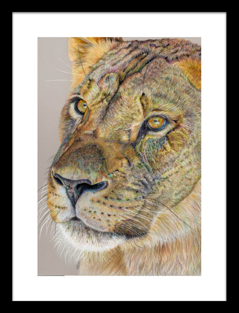 "Story Lines" Framed Fine Art Print