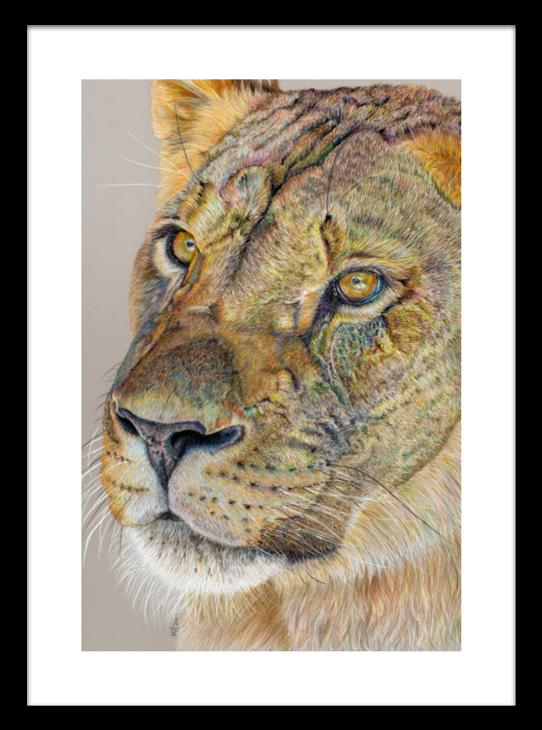 "Story Lines" Framed Fine Art Print