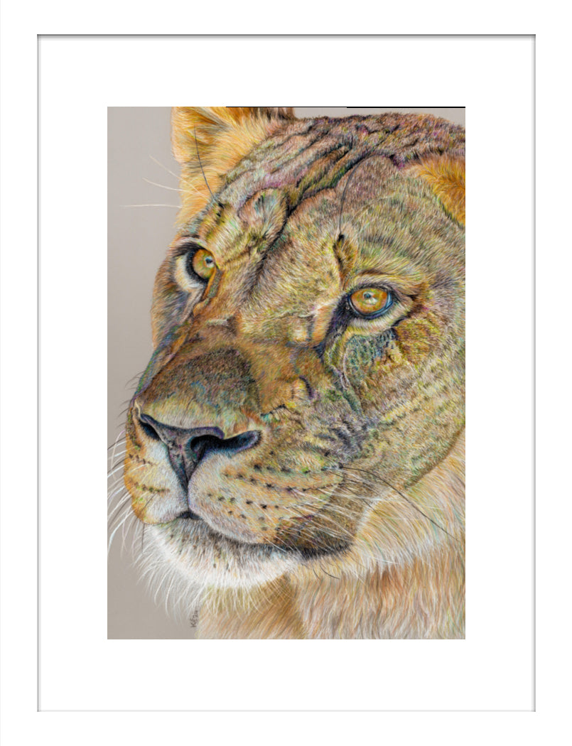 "Story Lines" Framed Fine Art Print