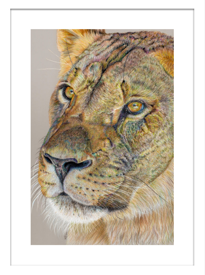 "Story Lines" Framed Fine Art Print