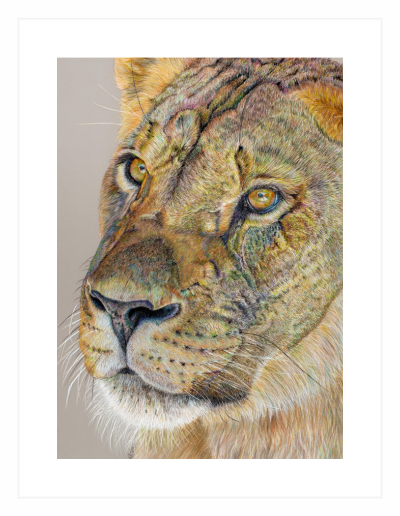 "Story Lines" Framed Fine Art Print