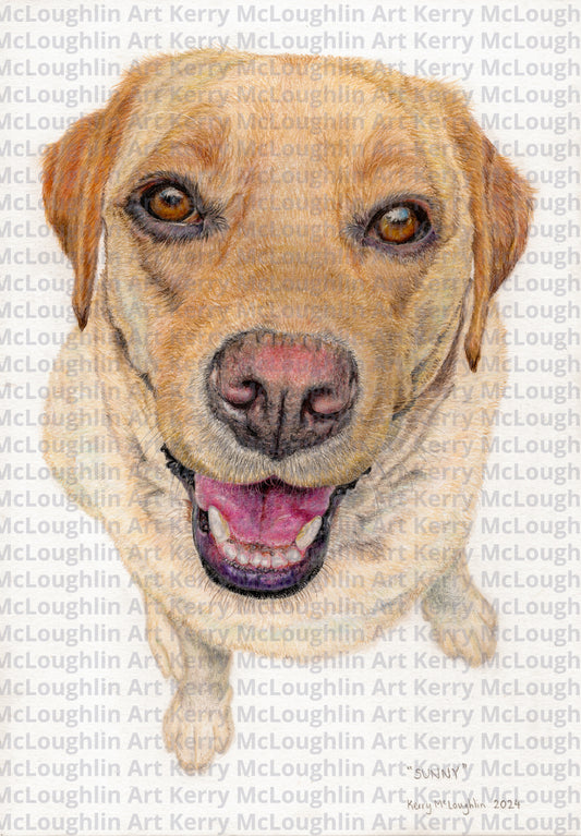 "Sunny" Unframed Fine Art Print