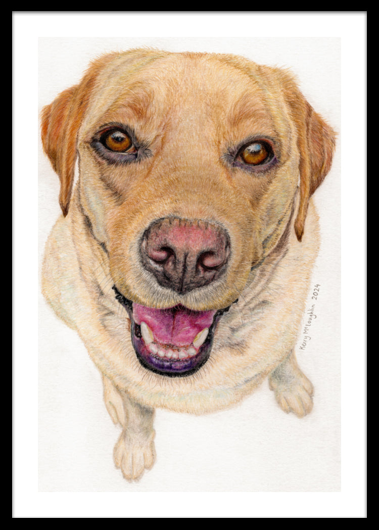 "Sunny" Framed Fine Art Print