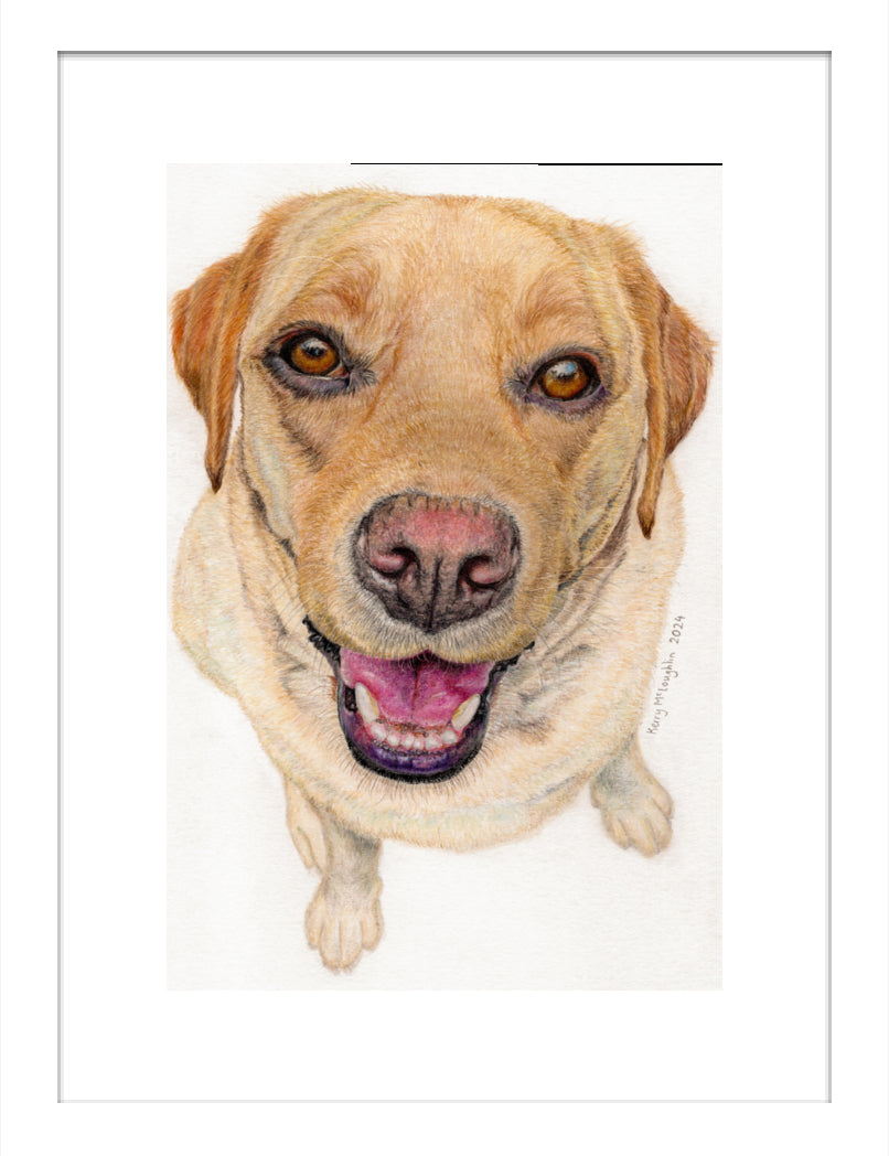 "Sunny" Framed Fine Art Print