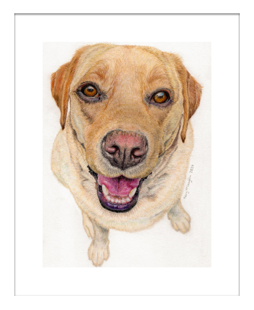 "Sunny" Framed Fine Art Print