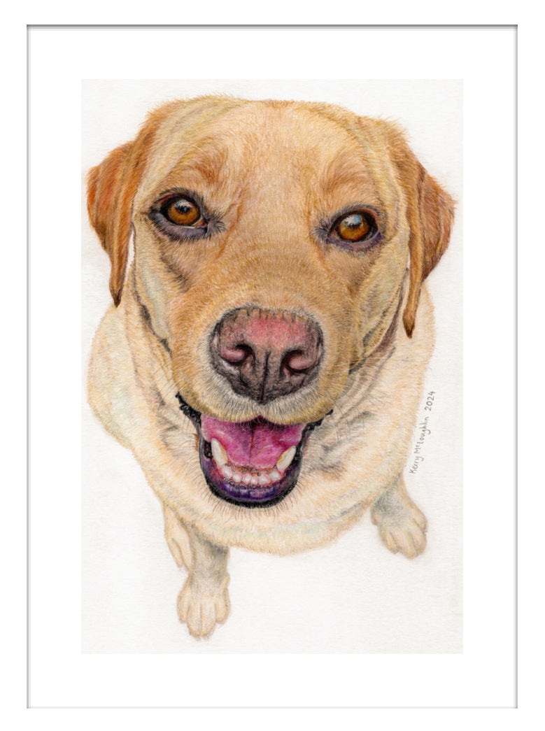 "Sunny" Framed Fine Art Print