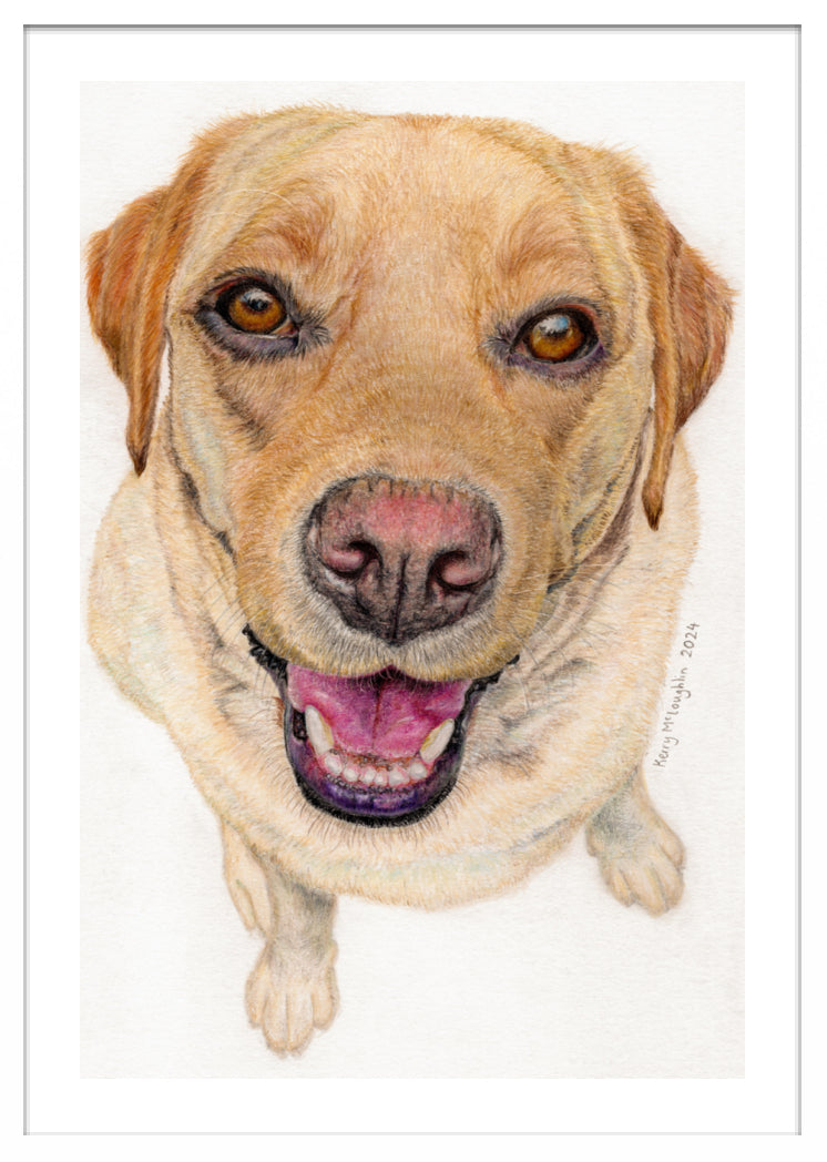 "Sunny" Framed Fine Art Print