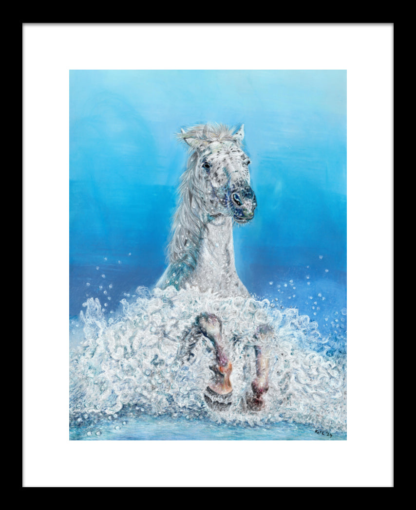 "Swifty" Framed Fine Art Print