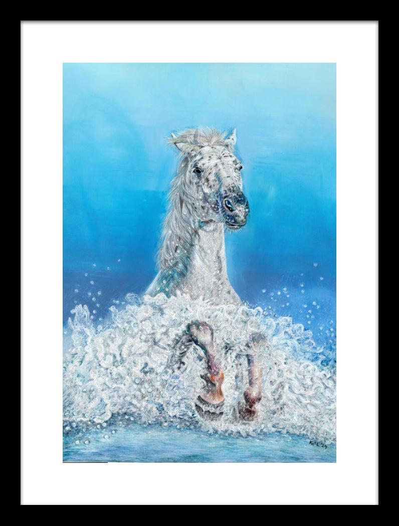 "Swifty" Framed Fine Art Print