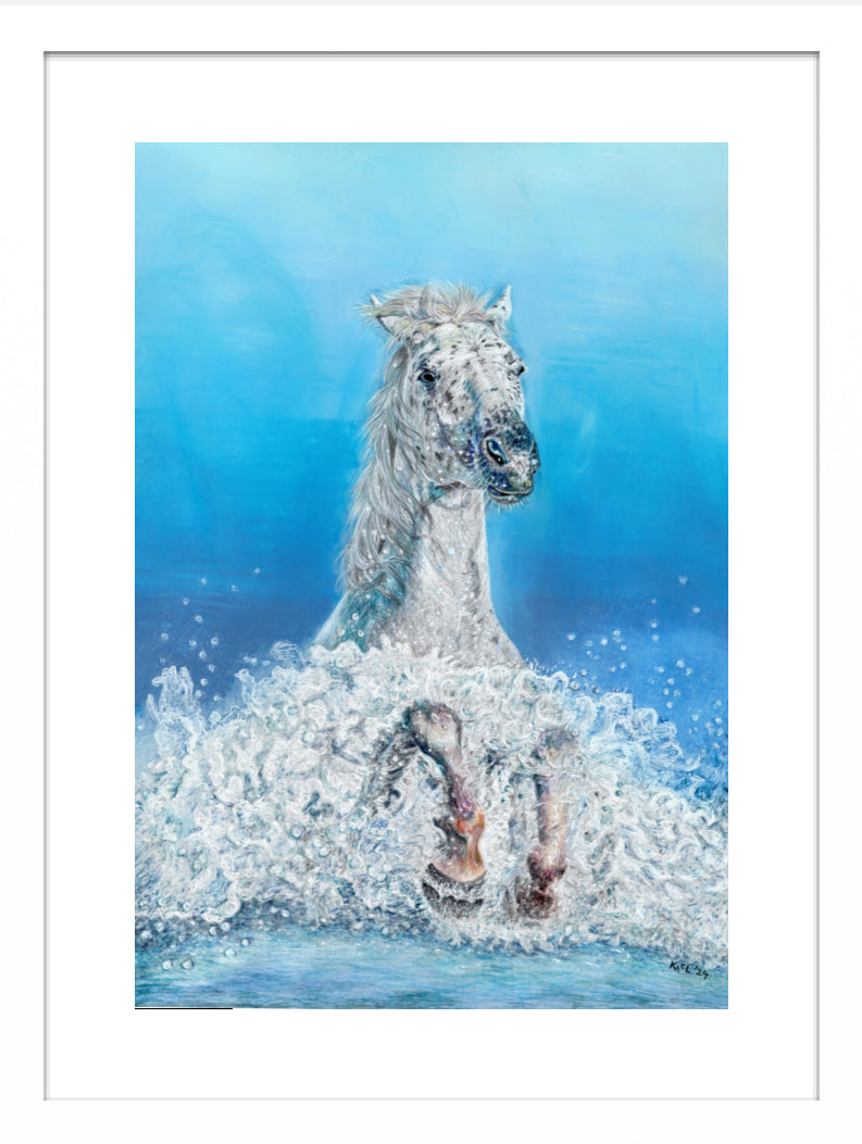 "Swifty" Framed Fine Art Print