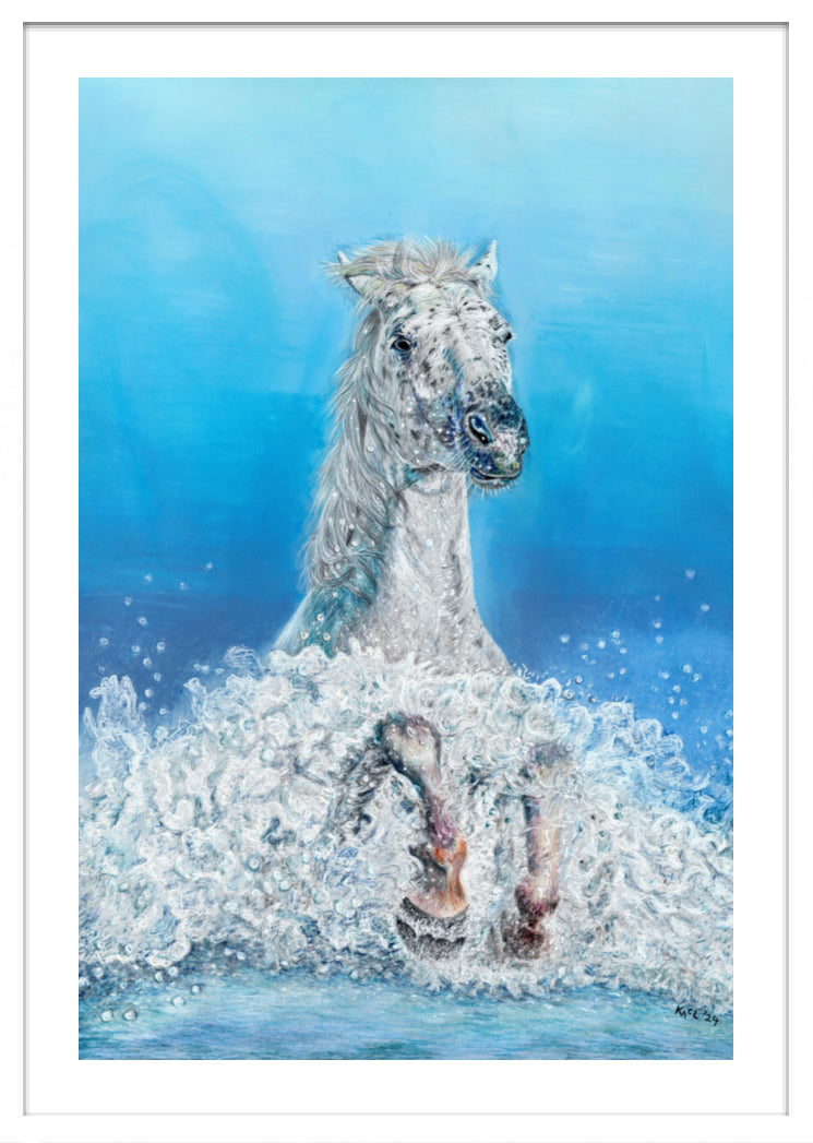 "Swifty" Framed Fine Art Print