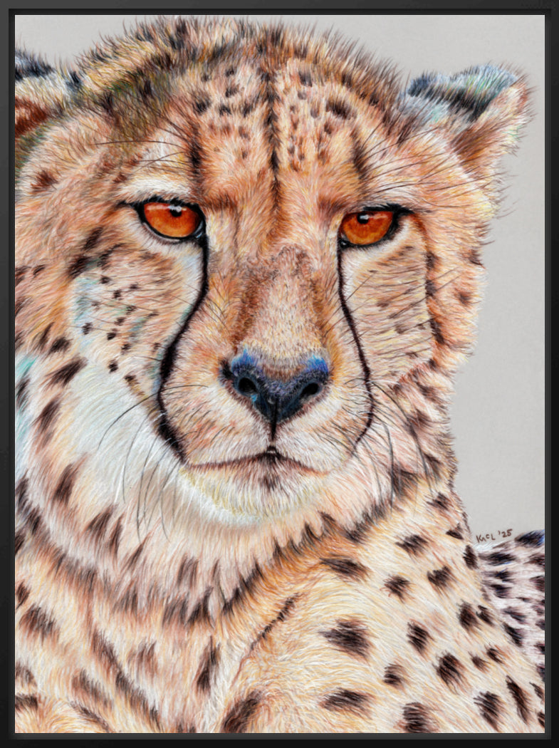 "TISM (This Is Serious Mum)" Canvas Print