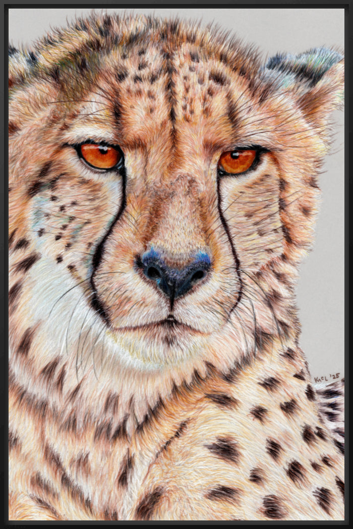 "TISM (This Is Serious Mum)" Canvas Print