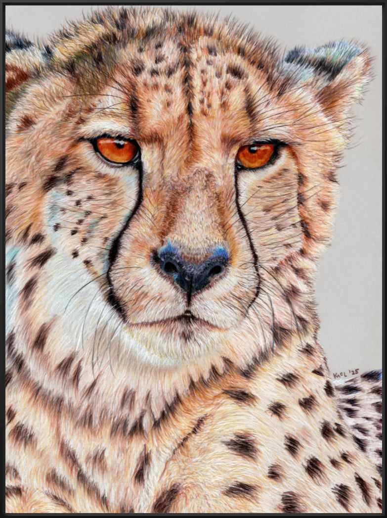 "TISM (This Is Serious Mum)" Canvas Print