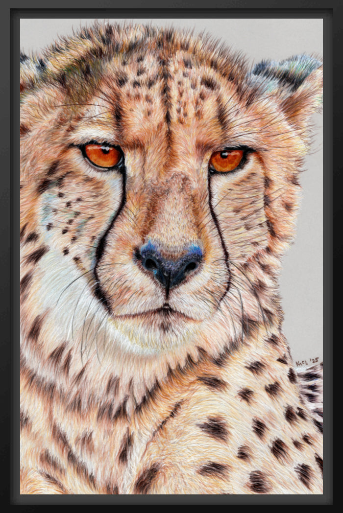 "TISM (This Is Serious Mum)" Canvas Print