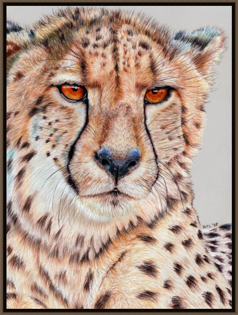 "TISM (This Is Serious Mum)" Canvas Print