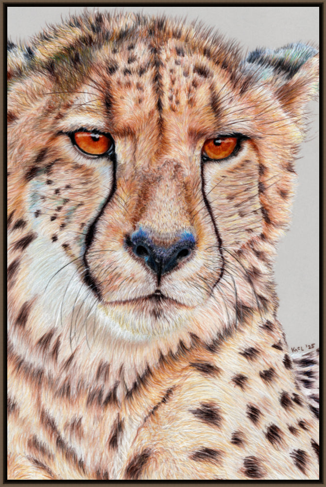 "TISM (This Is Serious Mum)" Canvas Print