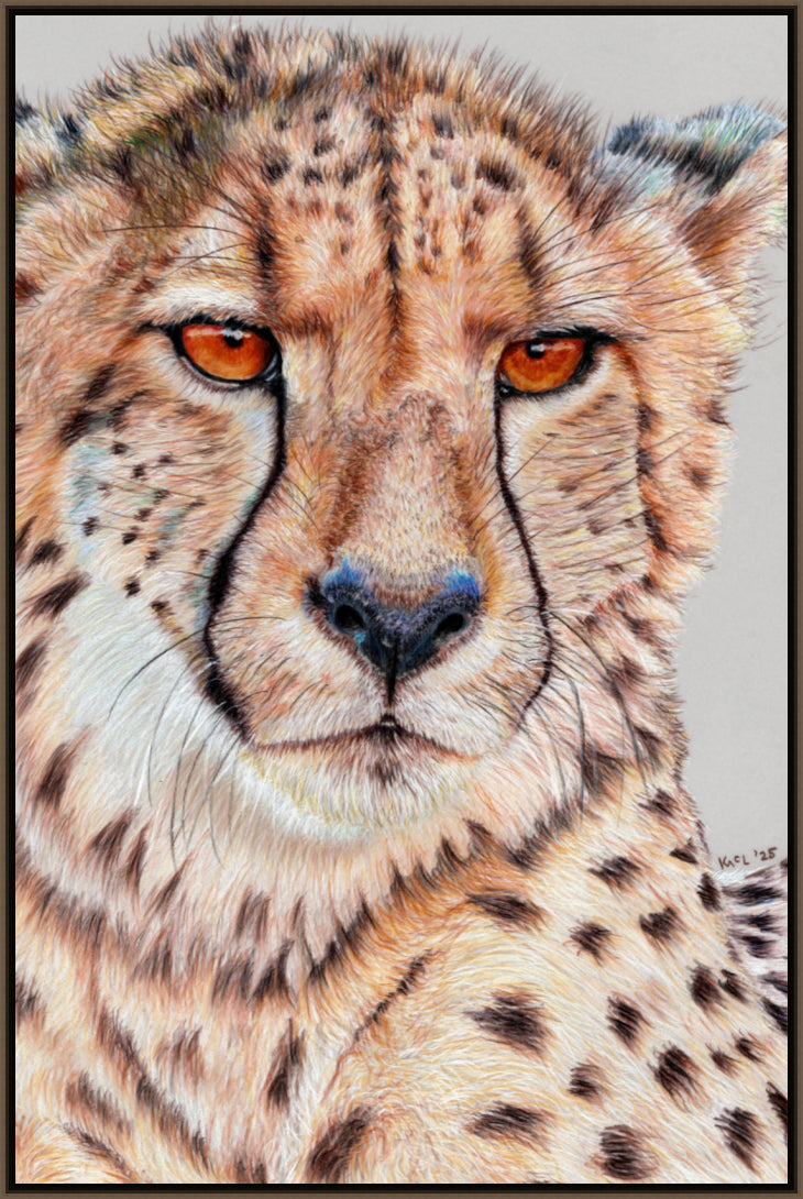 "TISM (This Is Serious Mum)" Canvas Print