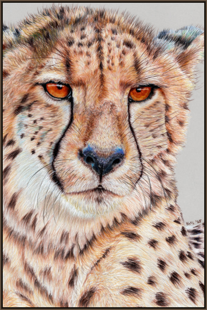 "TISM (This Is Serious Mum)" Canvas Print