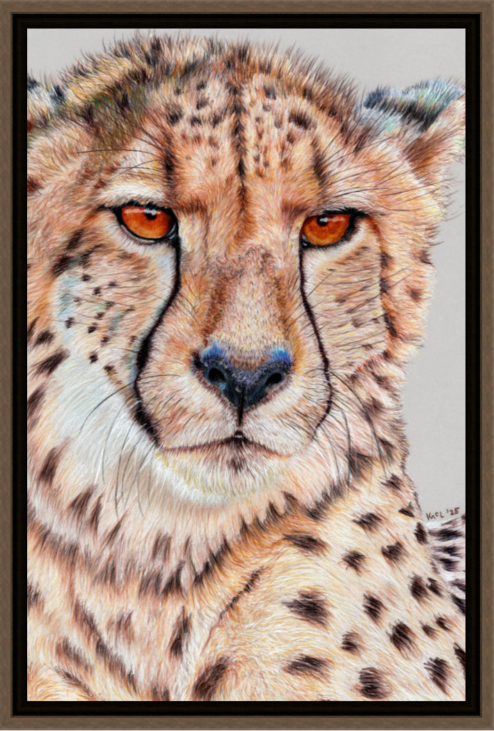 "TISM (This Is Serious Mum)" Canvas Print