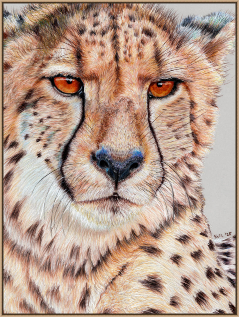 "TISM (This Is Serious Mum)" Canvas Print