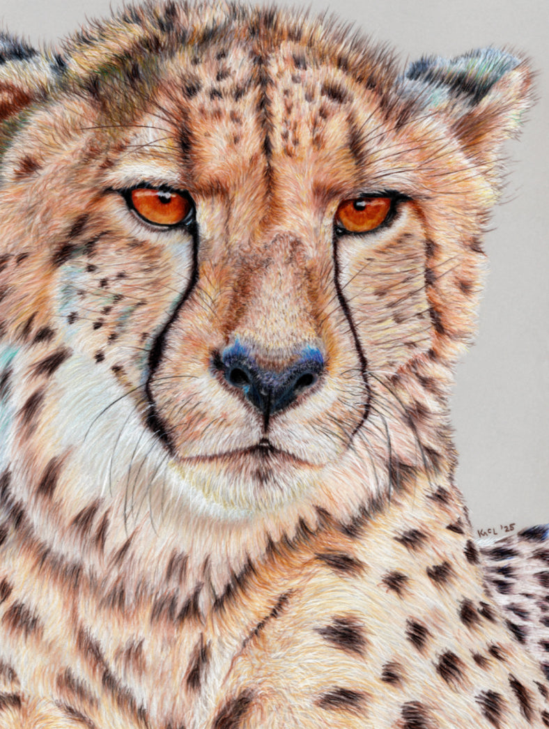 "TISM (This Is Serious Mum)" Canvas Print