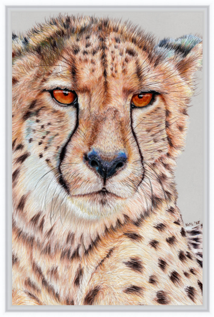 "TISM (This Is Serious Mum)" Canvas Print