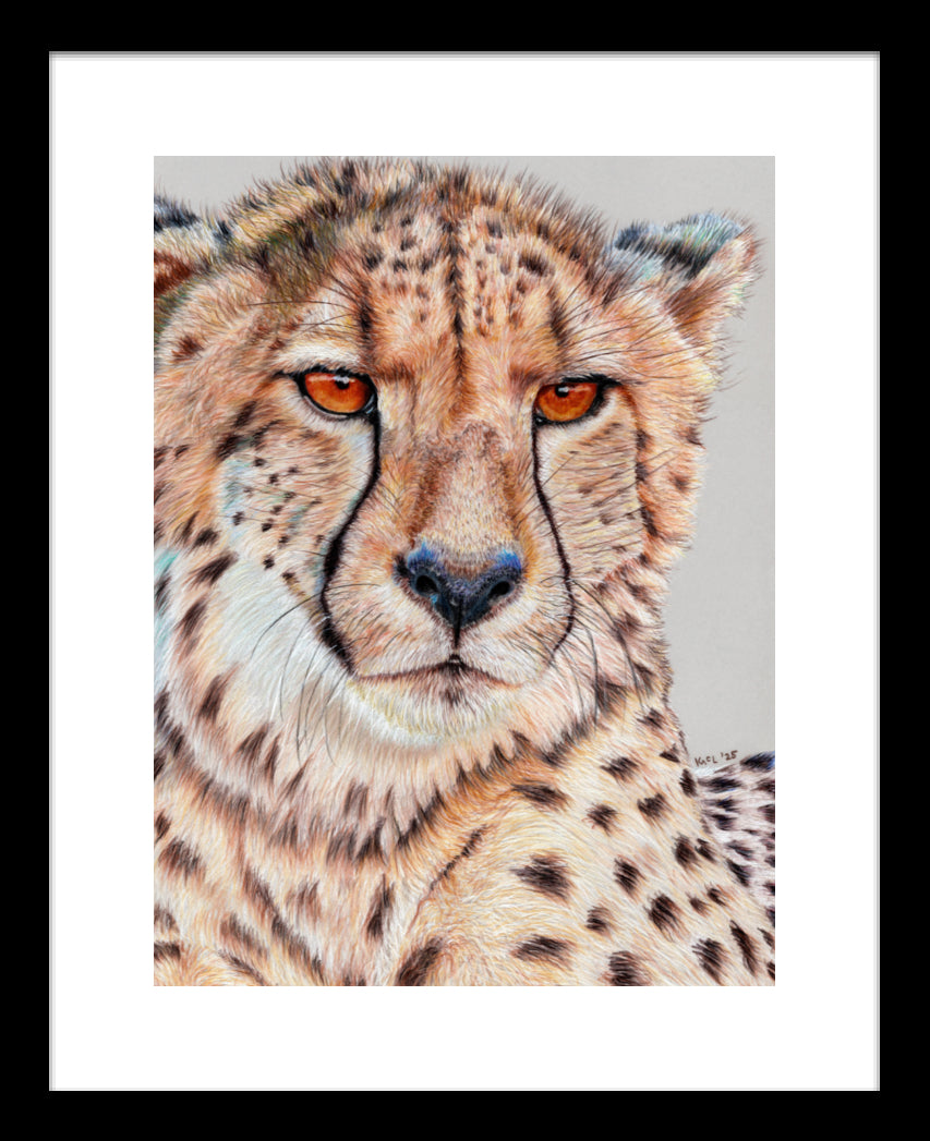 "TISM (This Is Serious Mum)" Framed Fine Art Print