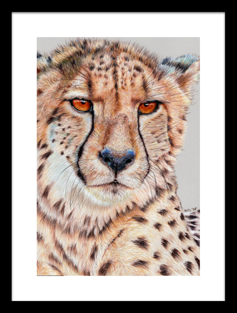 "TISM (This Is Serious Mum)" Framed Fine Art Print