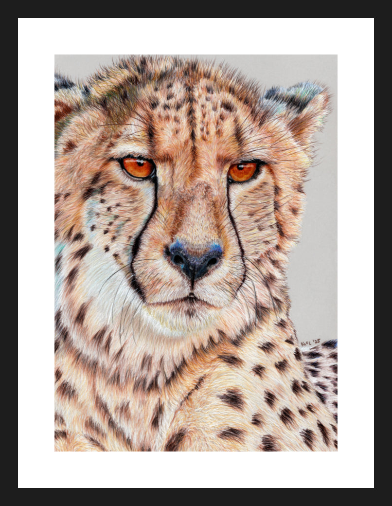 "TISM (This Is Serious Mum)" Framed Fine Art Print