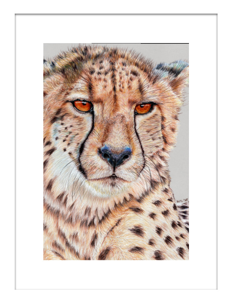 "TISM (This Is Serious Mum)" Framed Fine Art Print