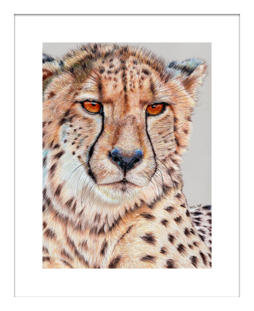 "TISM (This Is Serious Mum)" Framed Fine Art Print