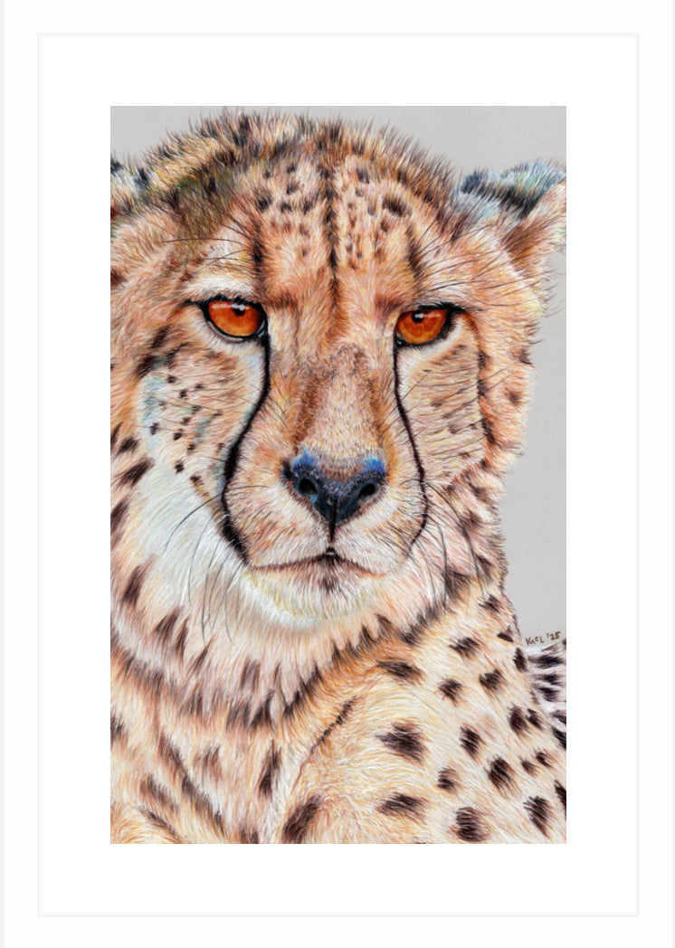 "TISM (This Is Serious Mum)" Framed Fine Art Print