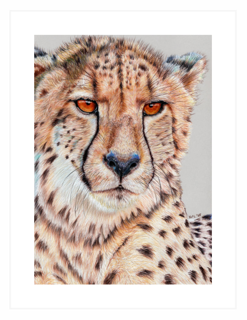 "TISM (This Is Serious Mum)" Framed Fine Art Print