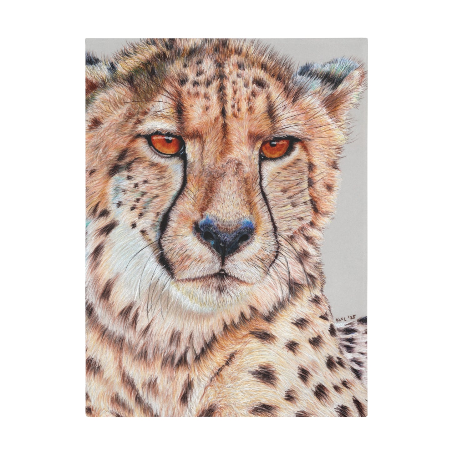 TISM (This Is Serious Mum) Blanket